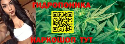 дурь Гай
